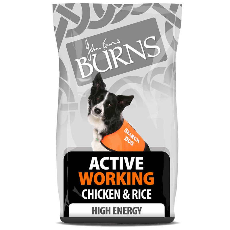 Burns Active Adult Chicken & Rice