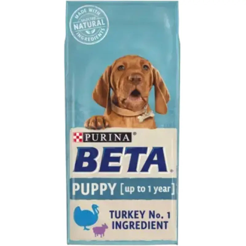 Beta Puppy With Turkey