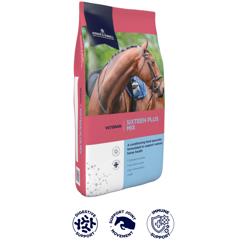 Dodson & Horrell Sixteen Plus Mix