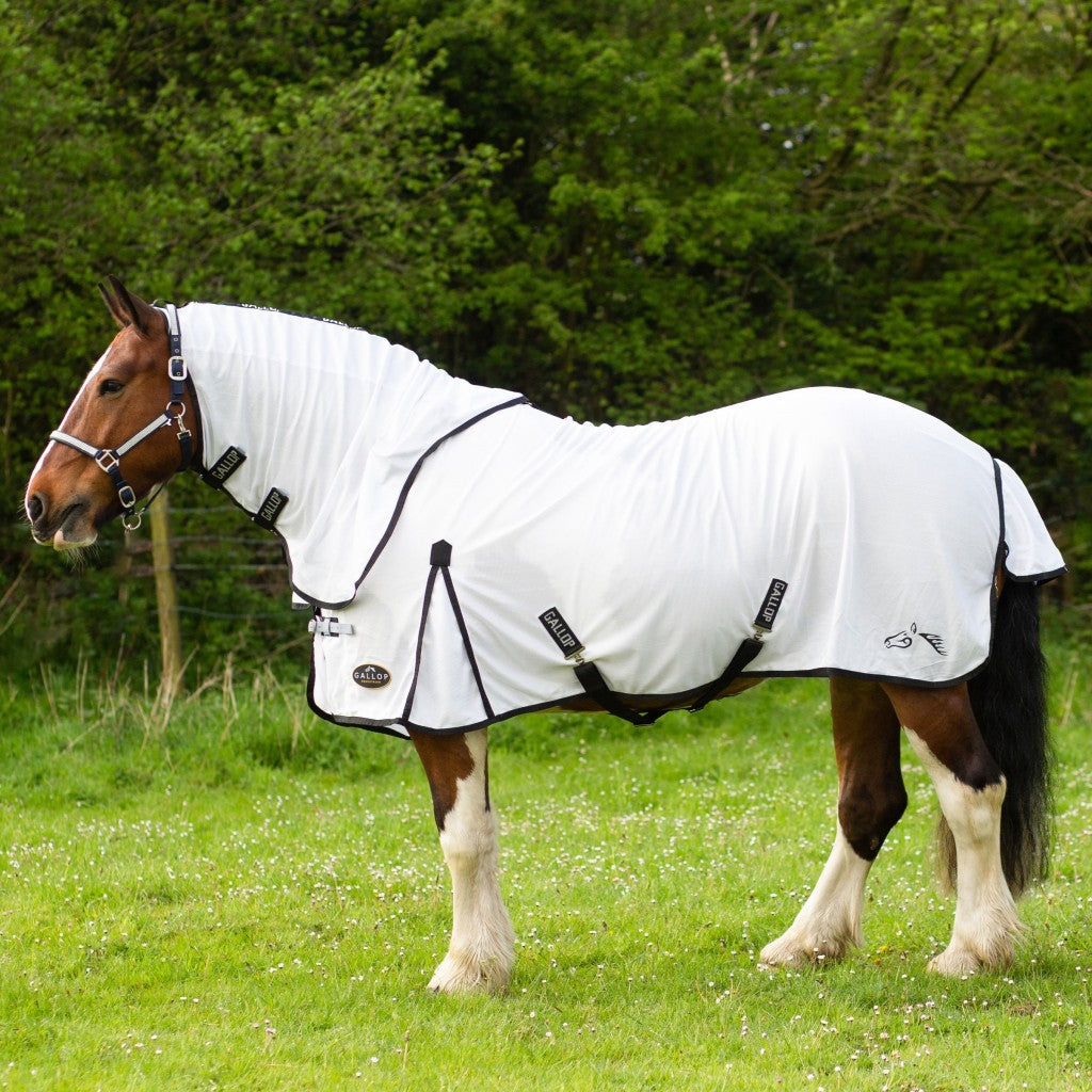 Gallop Dual 5-Point Fly Rug & Neck Set