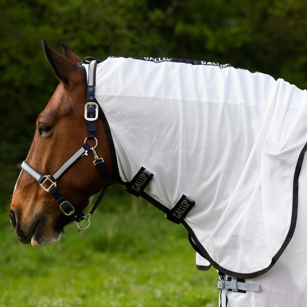 Gallop Dual 5-Point Fly Rug & Neck Set