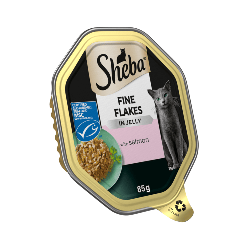 Sheba Fine Flakes Adult Tray Salmon in Jelly Single
