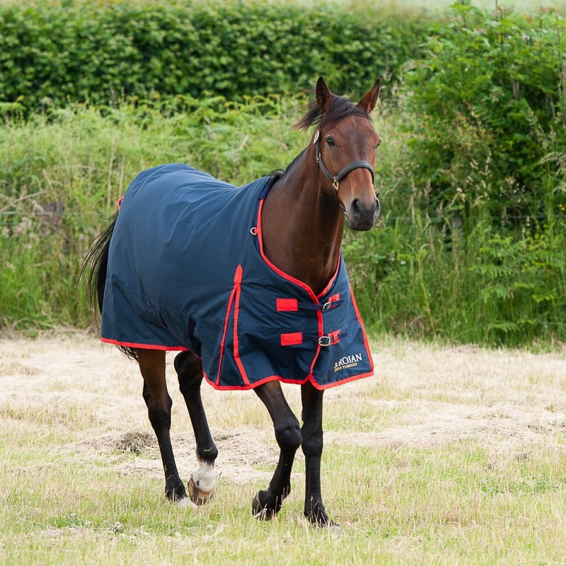 Gallop Trojan 200g Turnout