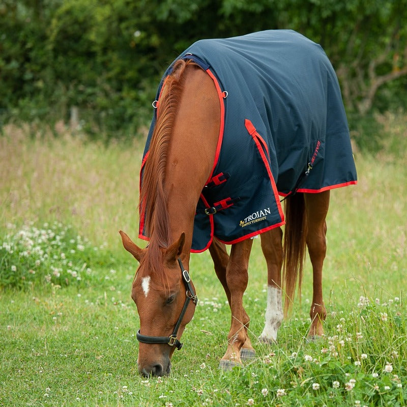 Gallop Trojan 200g Turnout