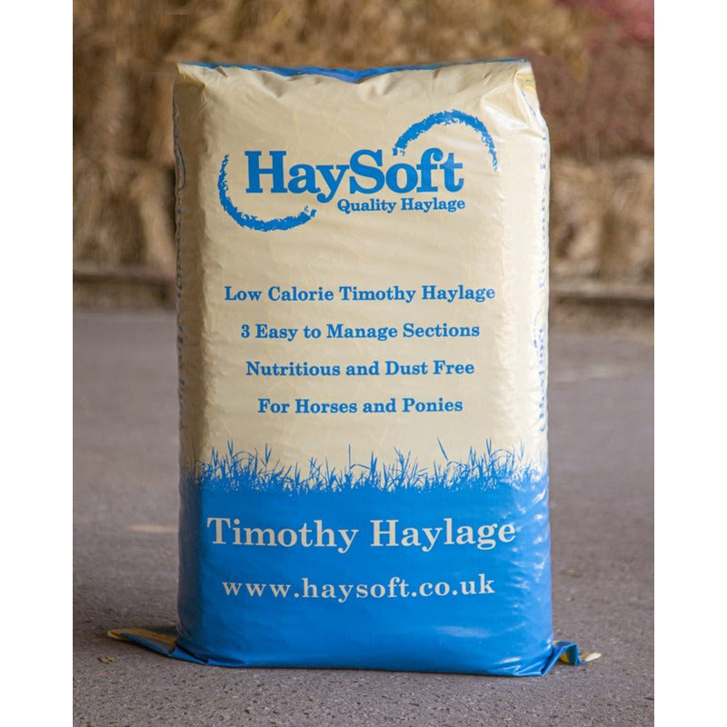 Haysoft Timothy