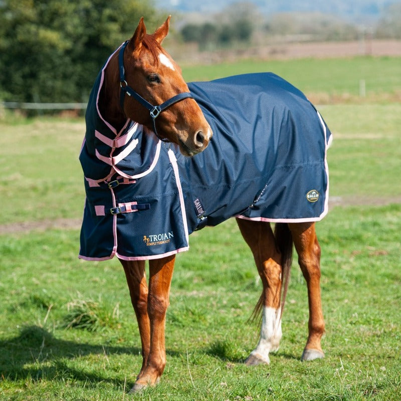 Gallop Trojan 50g Combo Turnout