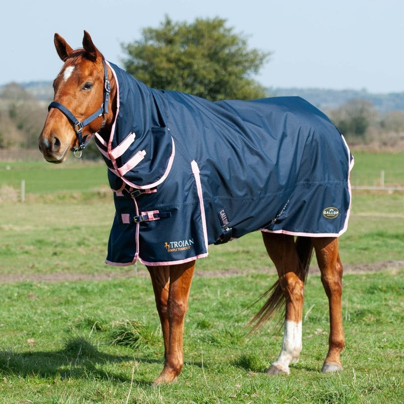 Gallop Trojan 50g Combo Turnout