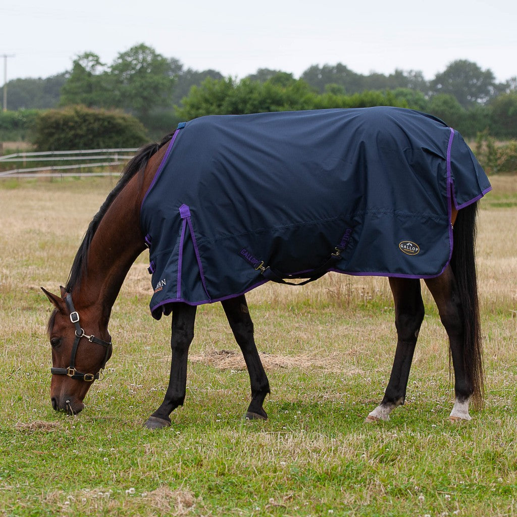 Gallop Trojan 0g Lightweight Turnout
