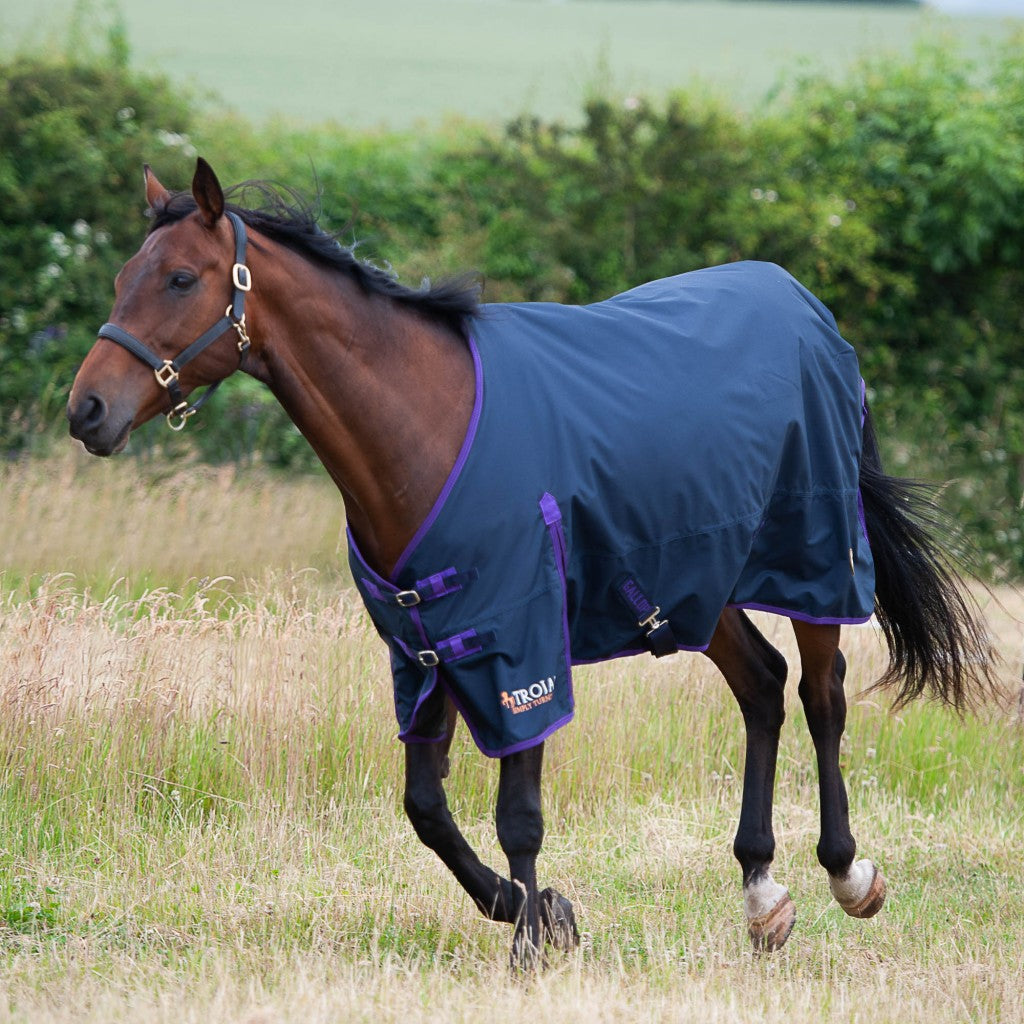 Gallop Trojan 0g Lightweight Turnout