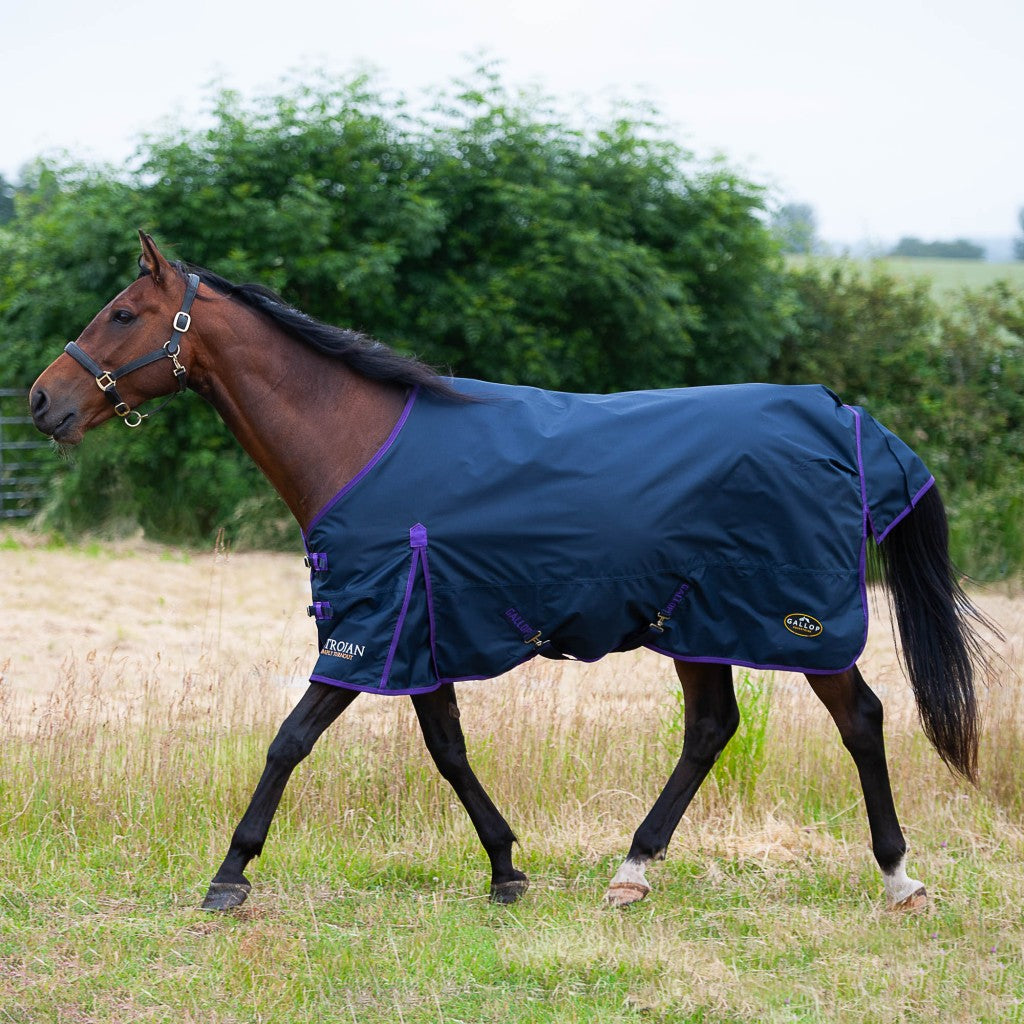 Gallop Trojan 0g Lightweight Turnout