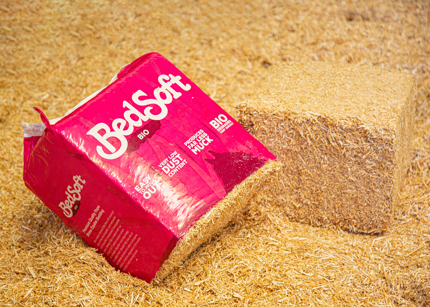 Bedsoft Bio