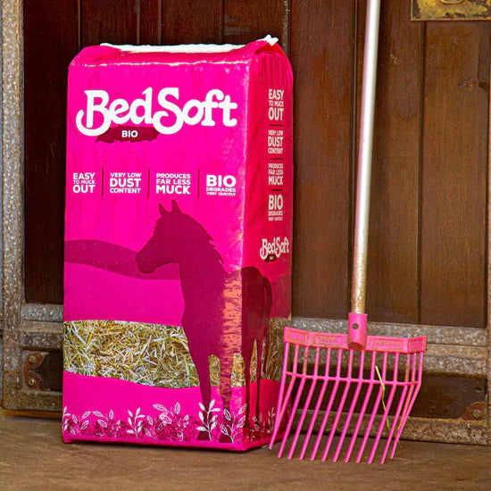 Bedsoft Bio