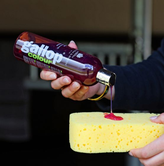 Gallop® Colour Shampoo