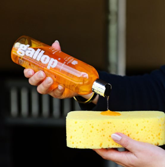Gallop® Colour Shampoo