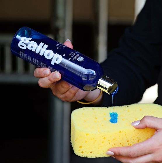 Gallop® Colour Shampoo