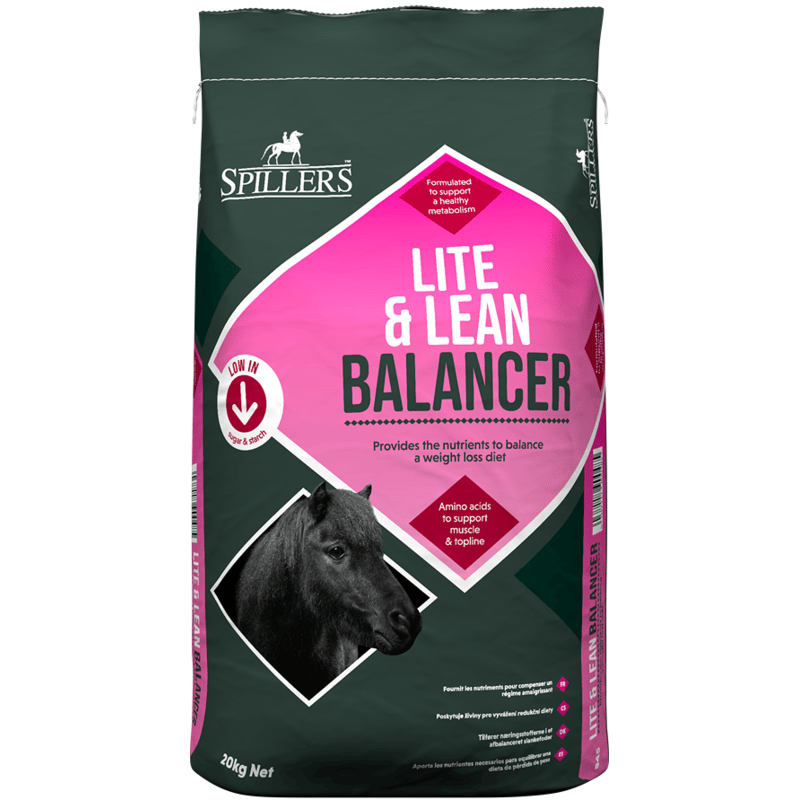 Lite & Lean Balancer
