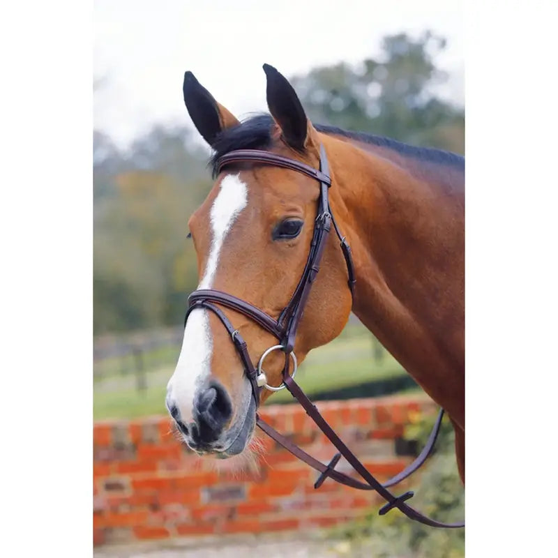 Mark Todd Square Raised Padded Bridle With Flash
