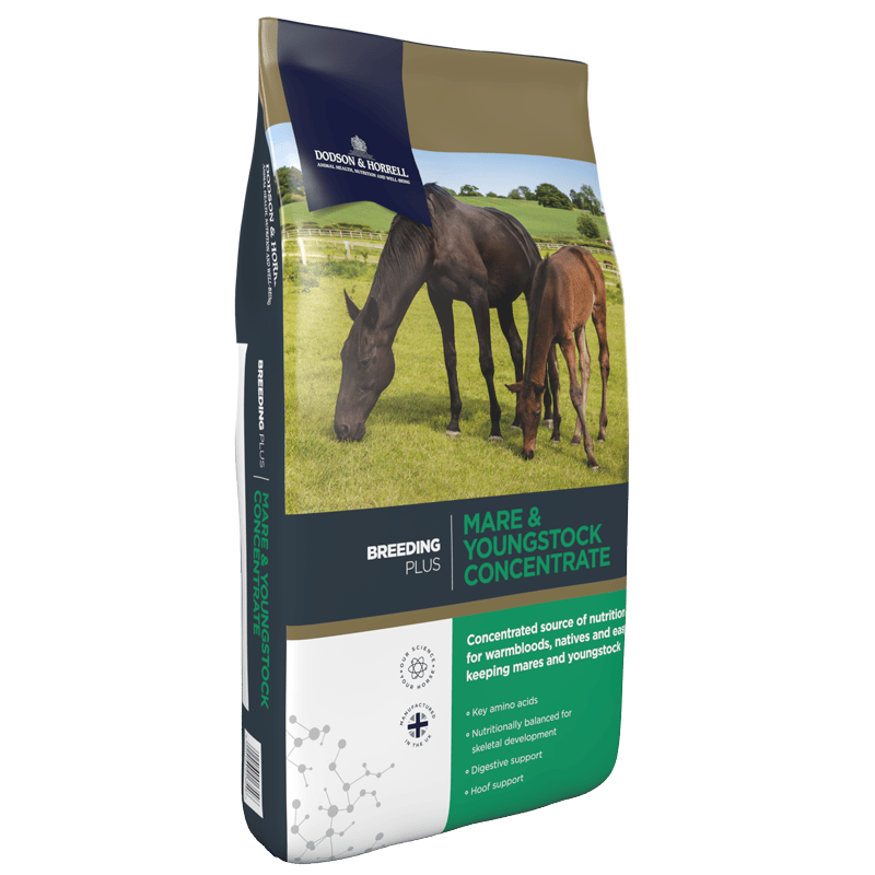 Mare & Youngstock Concentrate