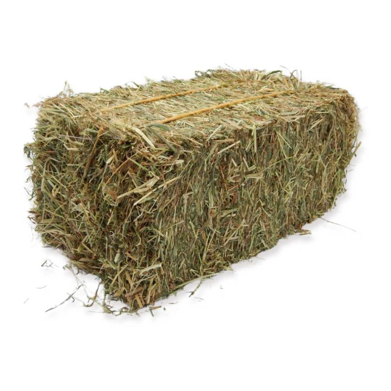 Bale Of Hay