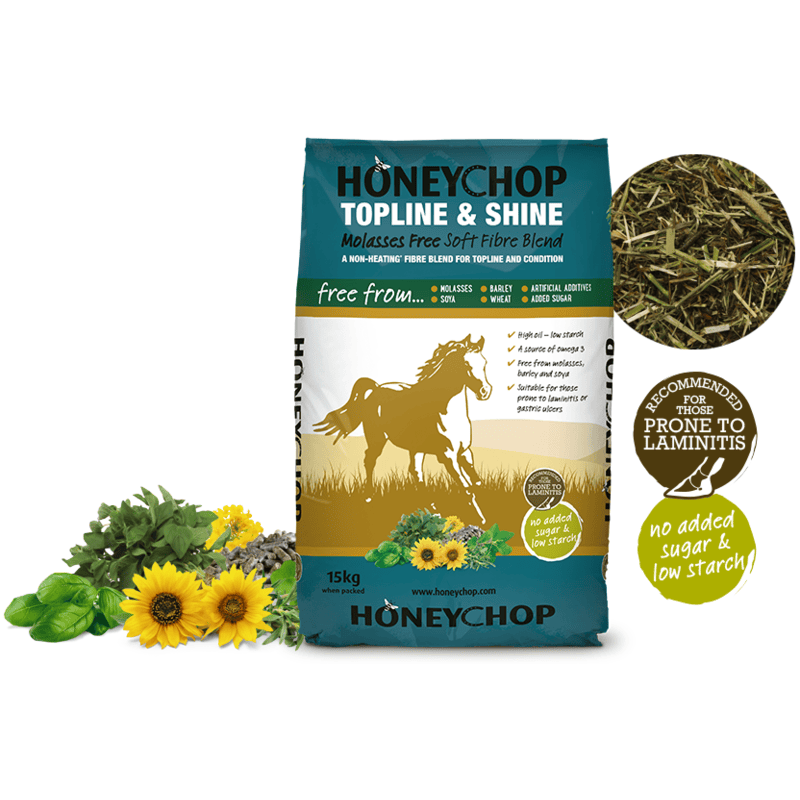 Honeychop Topline & Shine