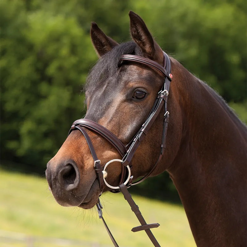 Kieffer Ergonomic Event Snaffle Bridle