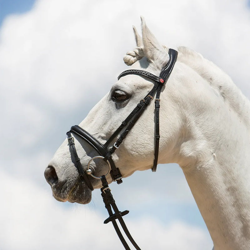 Kieffer Ultrasoft Fashion Snaffle Bridle