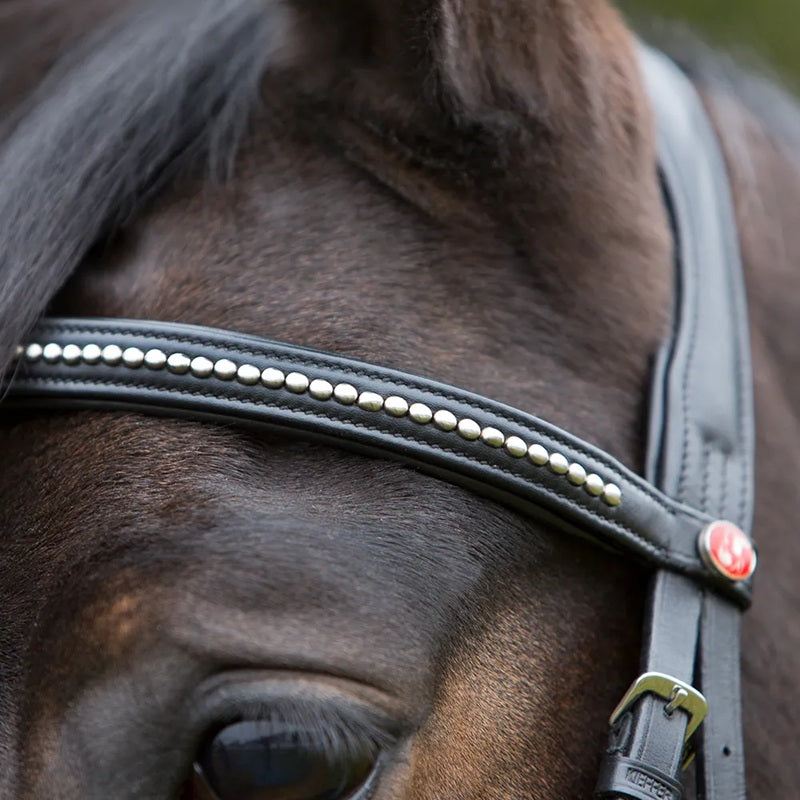 Kieffer Ultrasoft Snaffle Bridle