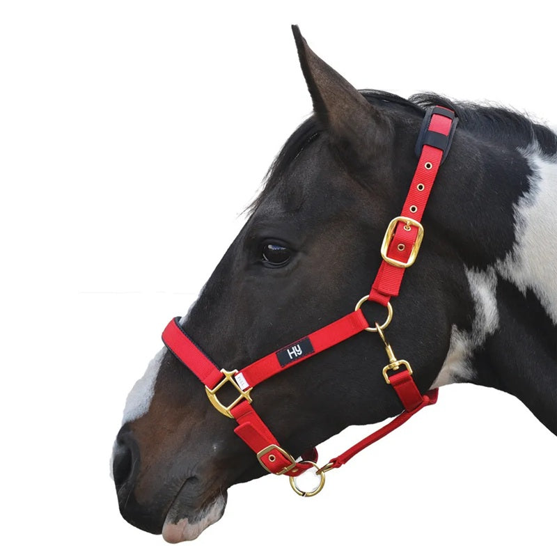 Hy Equestrian Deluxe Padded Headcollar