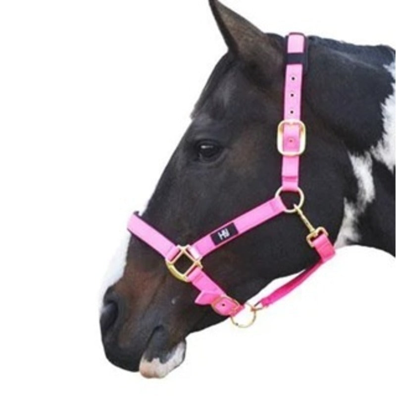 Hy Equestrian Deluxe Padded Headcollar