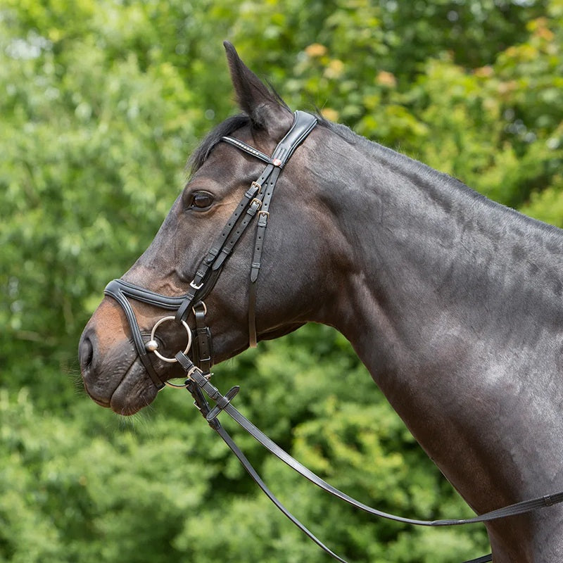Kieffer Ultrasoft Tara Snaffle Bridle