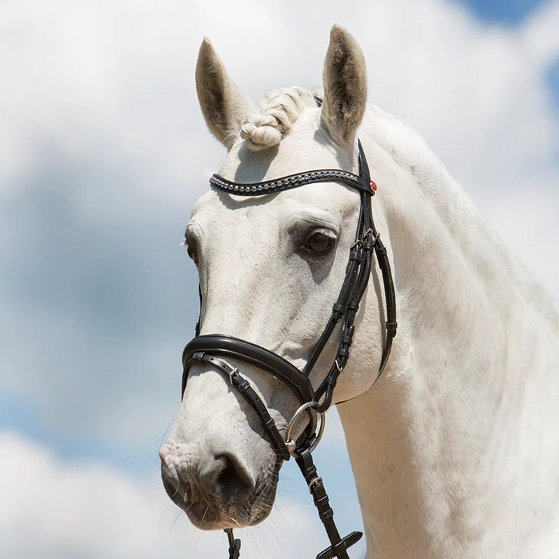 Kieffer Ultrasoft Fashion Snaffle Bridle