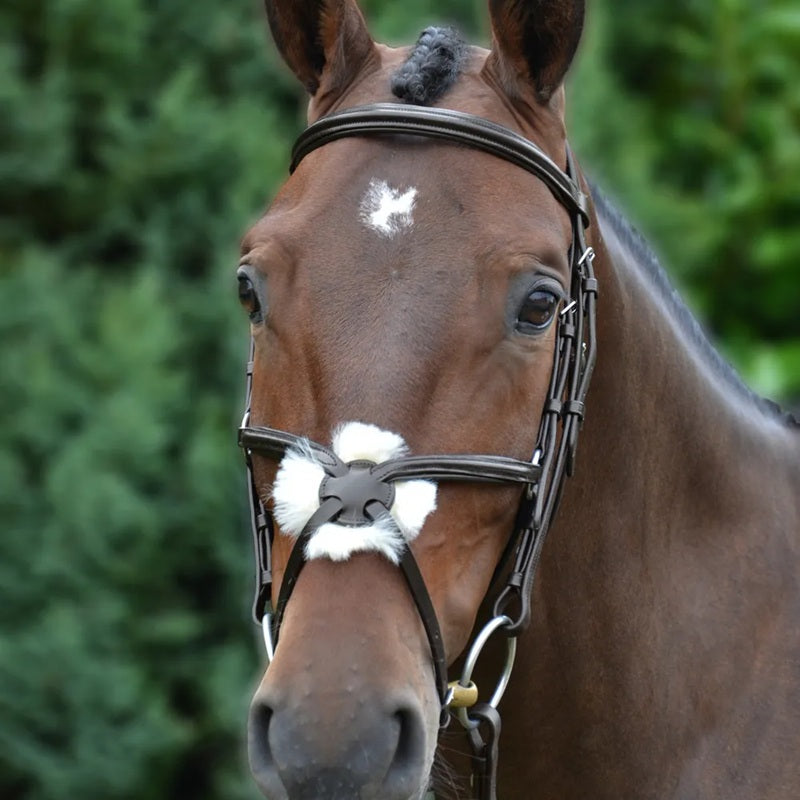 Hy Equestrian Mexican Bridle with Rubber Grip Reins
