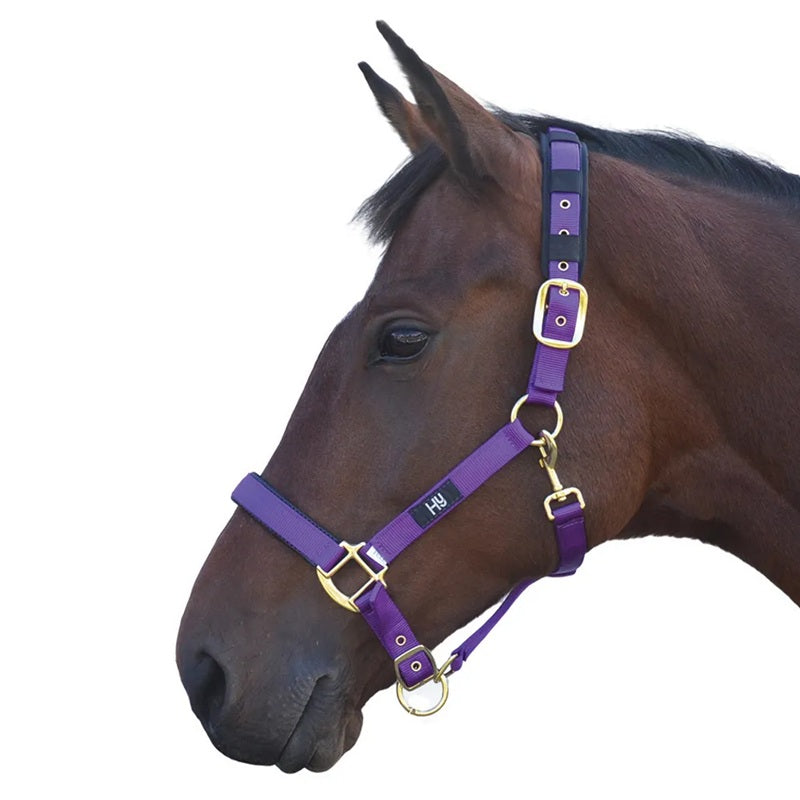 Hy Equestrian Deluxe Padded Headcollar
