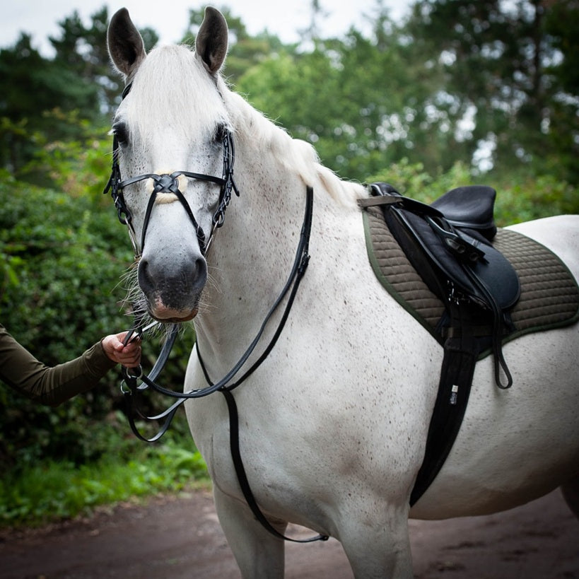 Gallop Economy Running Martingale