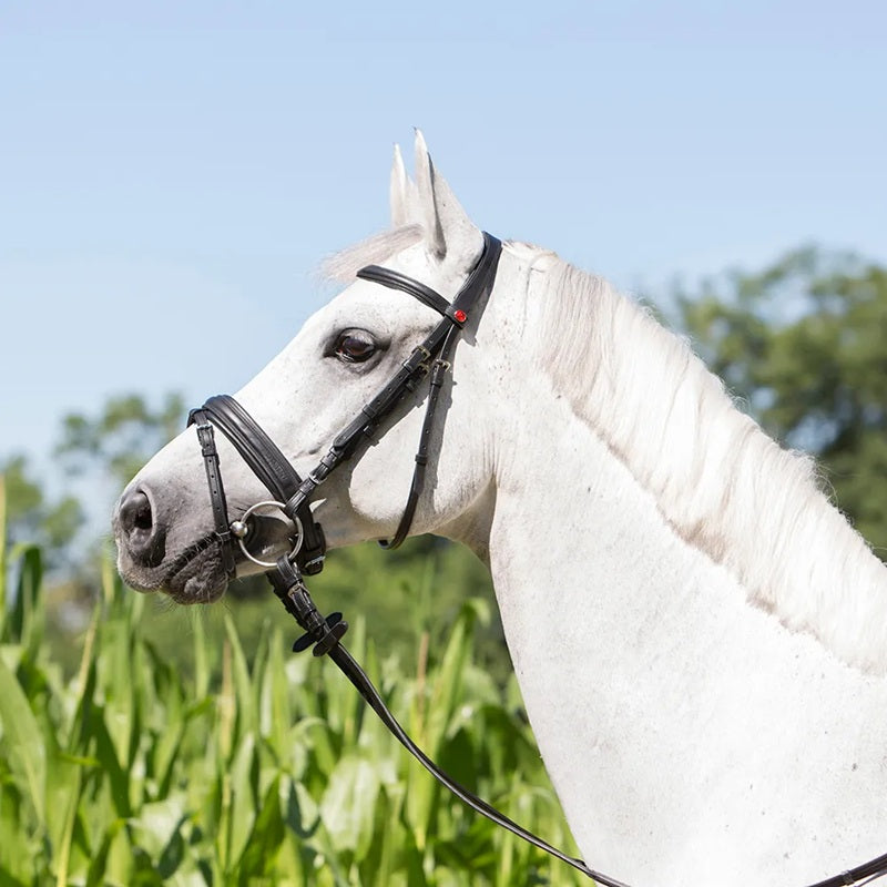 Kieffer Ultrasoft Economy Snaffle Bridle