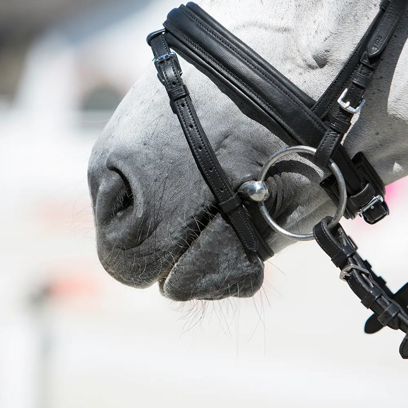 Kieffer Ultrasoft Economy Snaffle Bridle