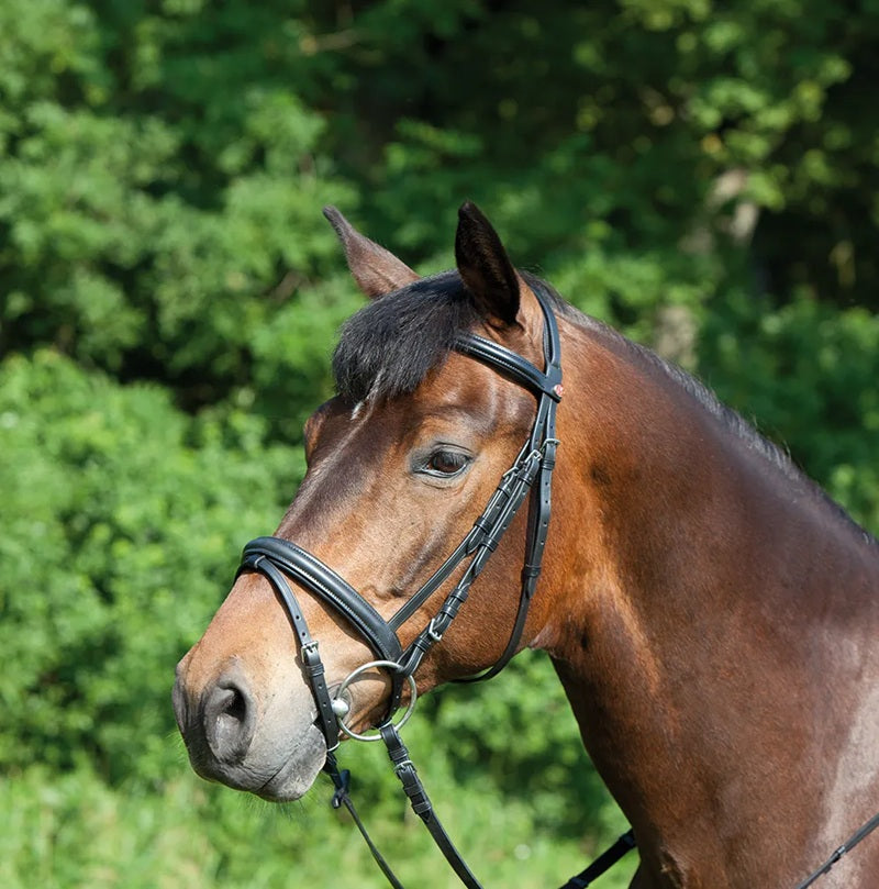 Kieffer Ergonomic Line Snaffle Bridle