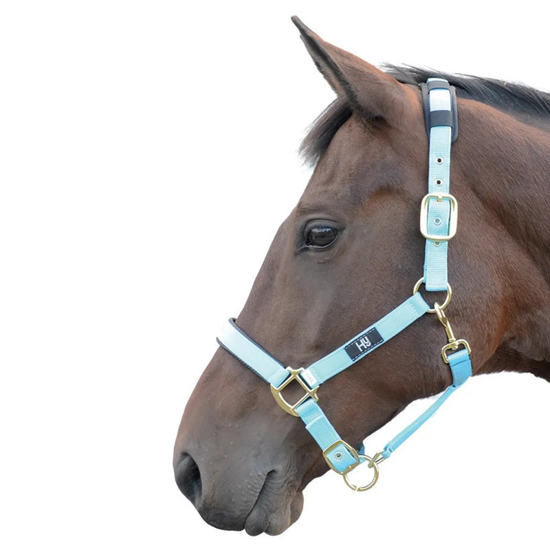 Hy Equestrian Deluxe Padded Headcollar