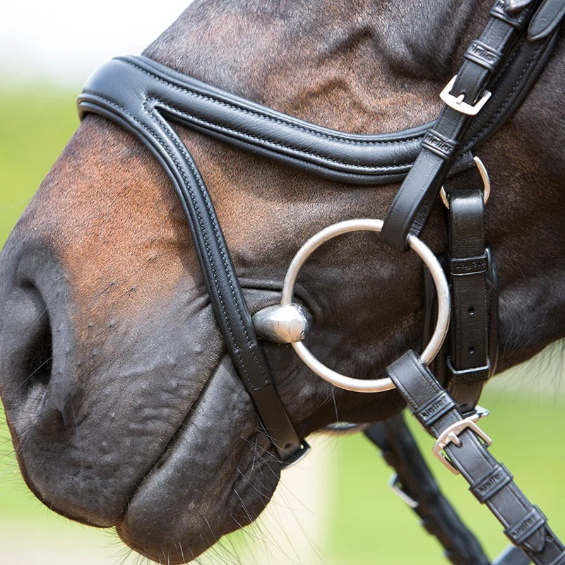Kieffer Ultrasoft Tara Snaffle Bridle