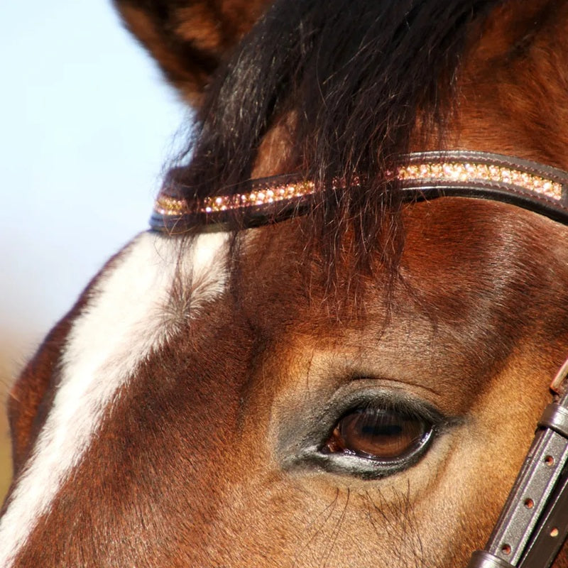 Hy Equestrian Rosciano Rose Gold Brow Band