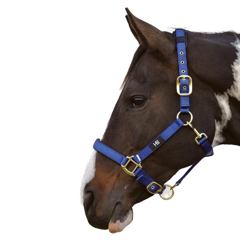 Hy Equestrian Deluxe Padded Headcollar