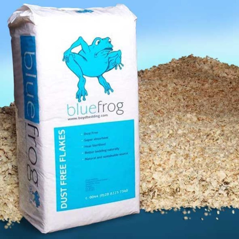 Blue Frog