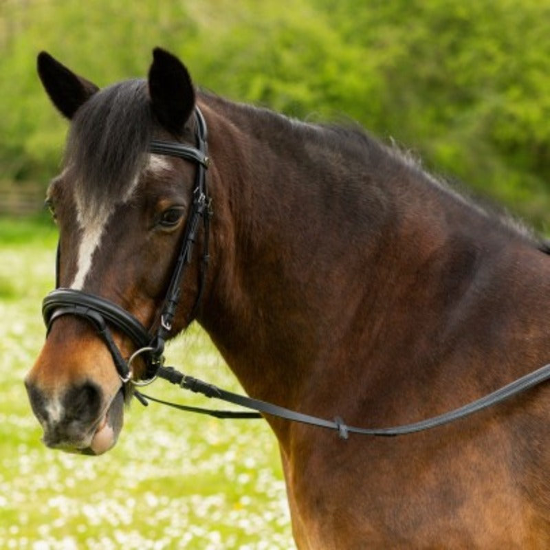 Gallop Comfort Bridle & Rubber Reins