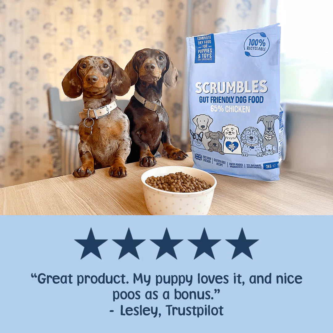 Scrumbles Chicken Dry Puppy Food