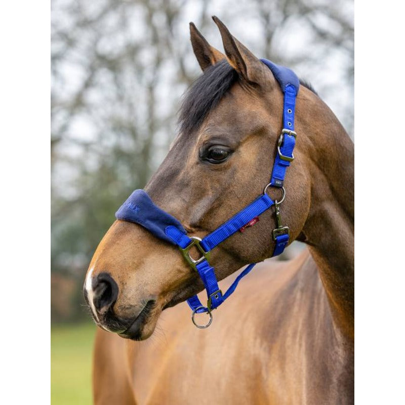 Le Mieux Vogue Headcollar