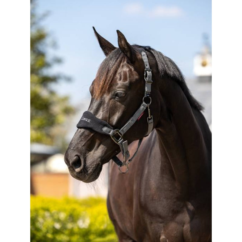 Le Mieux Vogue Headcollar