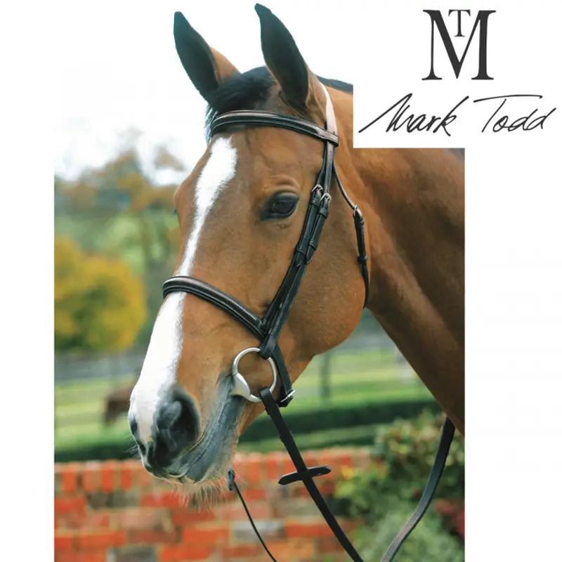 Mark Todd Plain Raised Cavesson