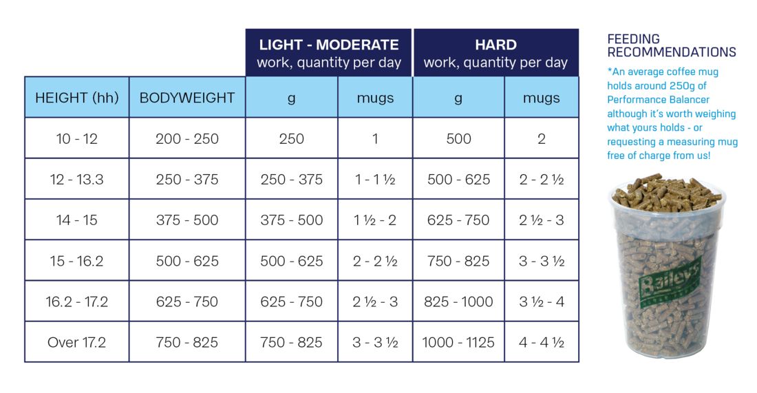 No 19 Performance Balancer