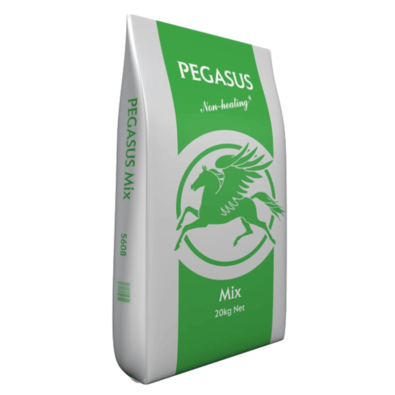 Pegasus Horse & Pony Mix