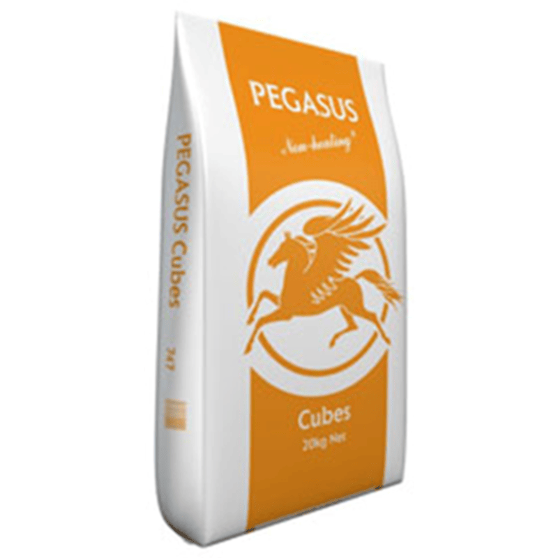 Pegasus Horse & Pony Cubes